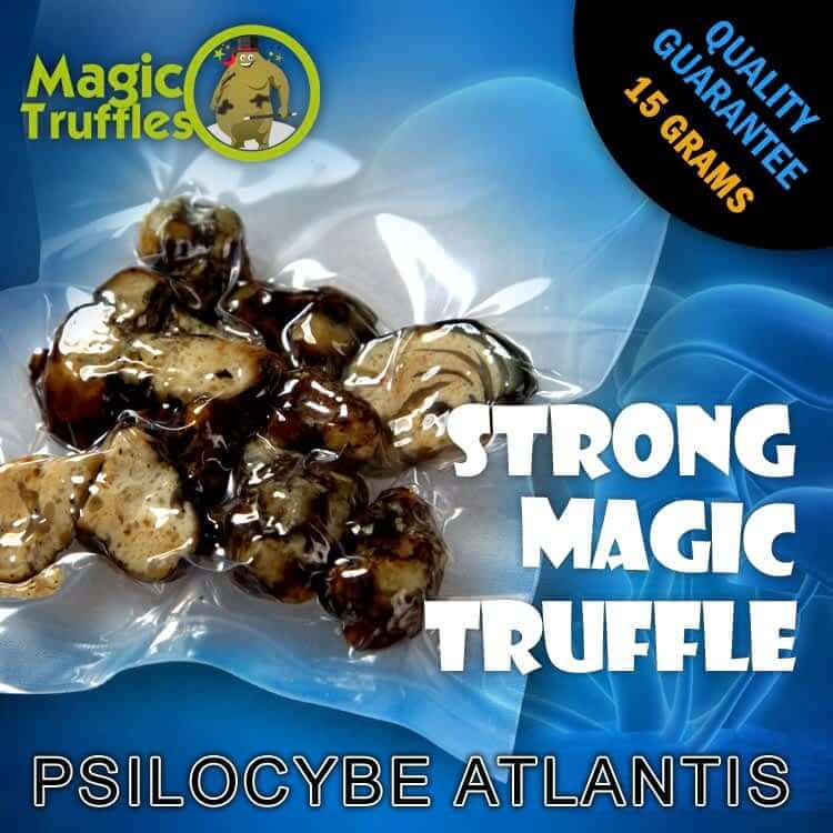 Psilocybine Magic Truffles Atlantis 15 grams