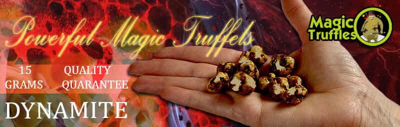 Magic truffles Dynamite