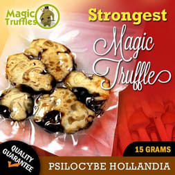 Hollandia Magic Truffles Selection - Premium Quality Dutch Sclerotia