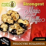Magic truffles Hollandia | 15 grams fresh sealed