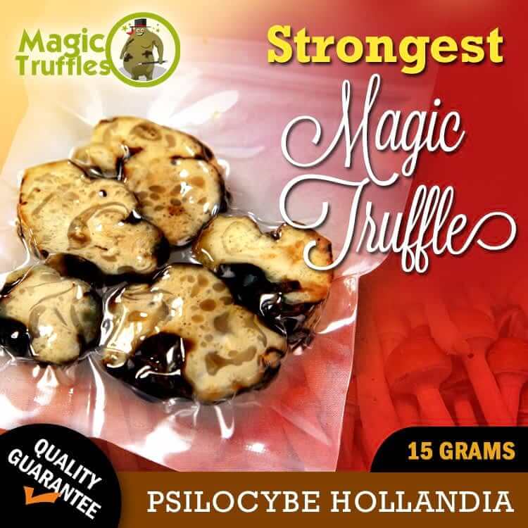 Psilocybine Magic Truffles Hollandia 15 grams