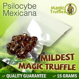 Mexicana Magic Truffles - Traditional and Balanced Psilocybin Experience