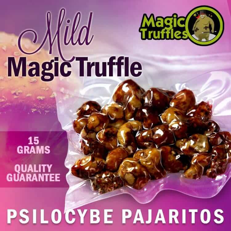 Psilocybine Magic Truffles Pajaritos 15 grams