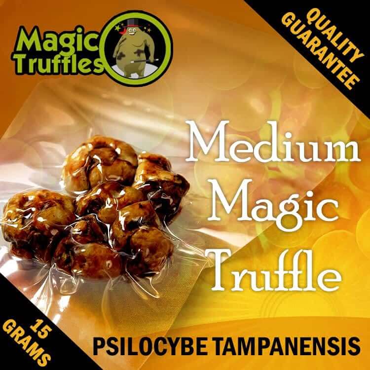 Psilocybine Magic Truffles Tampanensis 15 grams