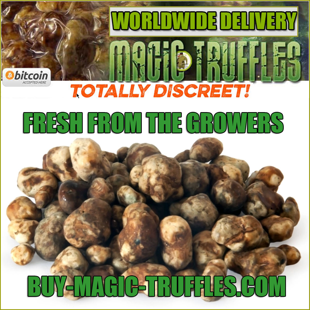 buy magic truffles without bitcoin